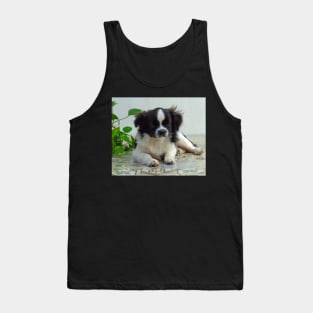 cute puppy Tank Top